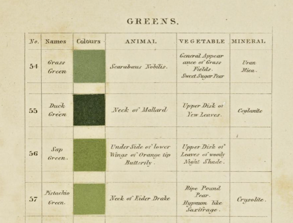 The science of colors and the colors of science